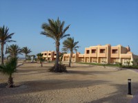 Managing Director
